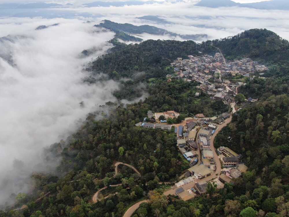 Cultural Landscape of Old Tea Forests of the Jingmai Mountain in Pu'er